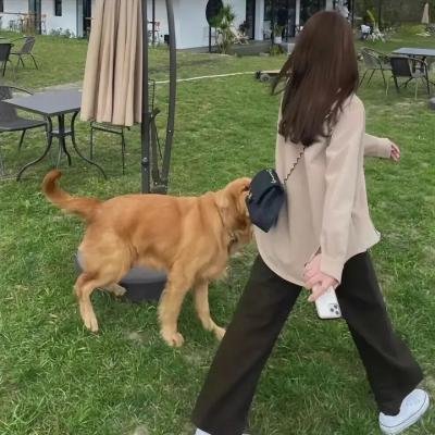 我凭本事单身
